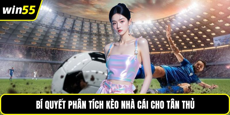 Bí quyết phân tích kèo nhà cái cho tân thủ