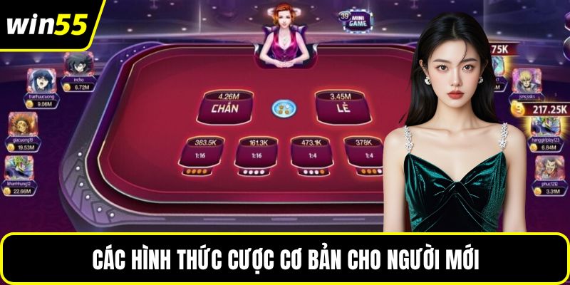 Các hình thức cược cơ bản cho người mới