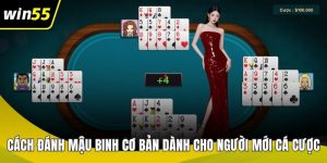 cach danh mau binh anh dai dien