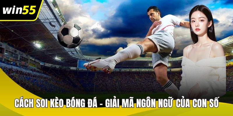 Cách soi kèo bóng đá