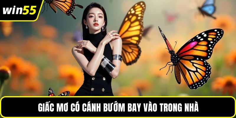 Giấc mơ có cánh bướm bay vào trong nhà