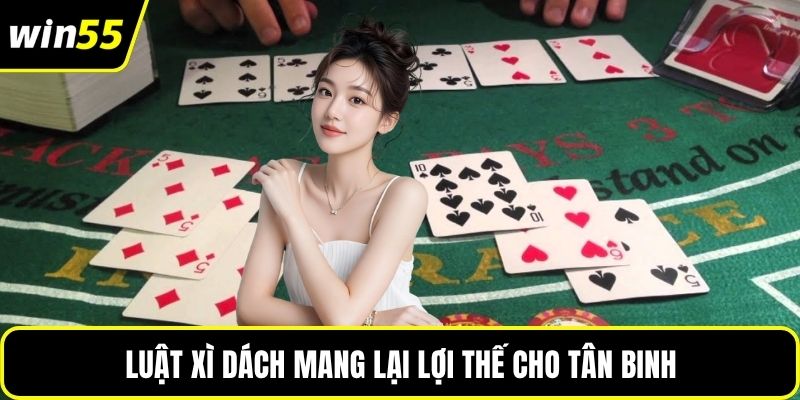 Luật xì dách mang lại lợi thế cho tân binh