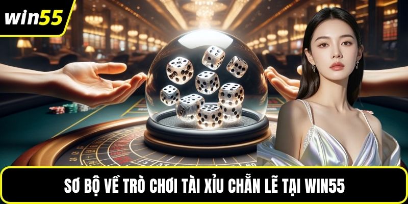 Sơ bộ về trò chơi tài xỉu chẵn lẻ tại WIN55