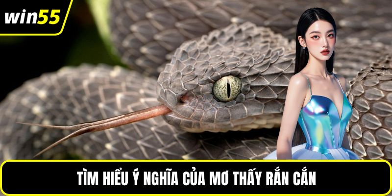 Tìm hiểu ý nghĩa của mơ thấy rắn cắn