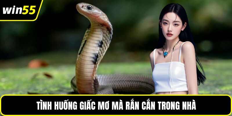 Tình huống giấc mơ mà rắn cắn trong nhà