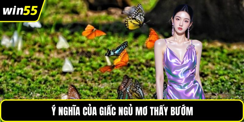 Ý nghĩa của giấc ngủ mơ thấy bướm